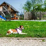Turisticna Kmetija Grabnar Bled