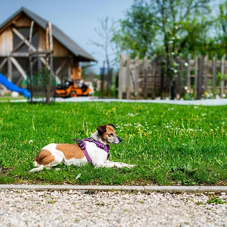 Turisticna Kmetija Grabnar 블레드