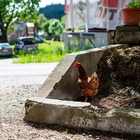 Turisticna Kmetija Grabnar Farmház *
