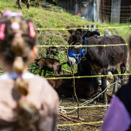 Turisticna Kmetija Grabnar Farm stay *