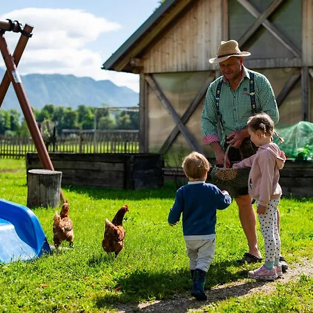 Farm stay Turisticna Kmetija Grabnar