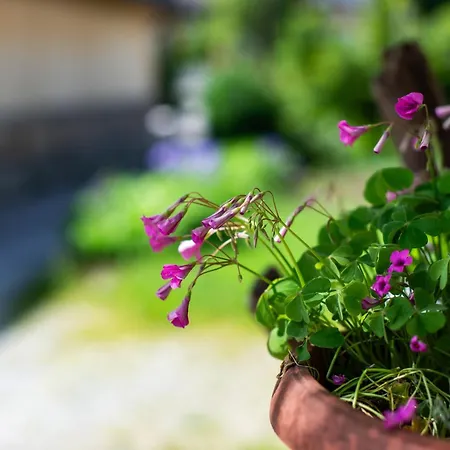 Turisticna Kmetija Grabnar 블레드