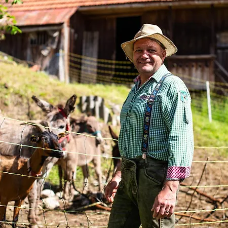 Farm stay Turisticna Kmetija Grabnar