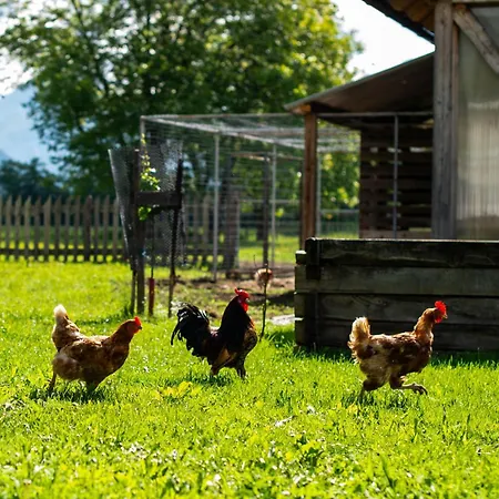 Turisticna Kmetija Grabnar