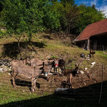 Çiftlik konaklama Turisticna Kmetija Grabnar