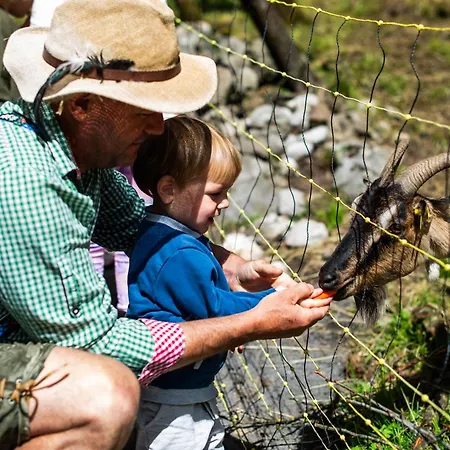 Turisticna Kmetija Grabnar