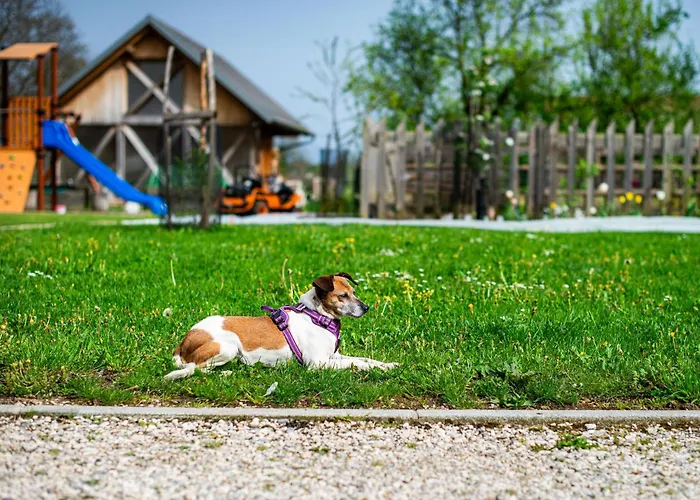 Turisticna Kmetija Grabnar Блед