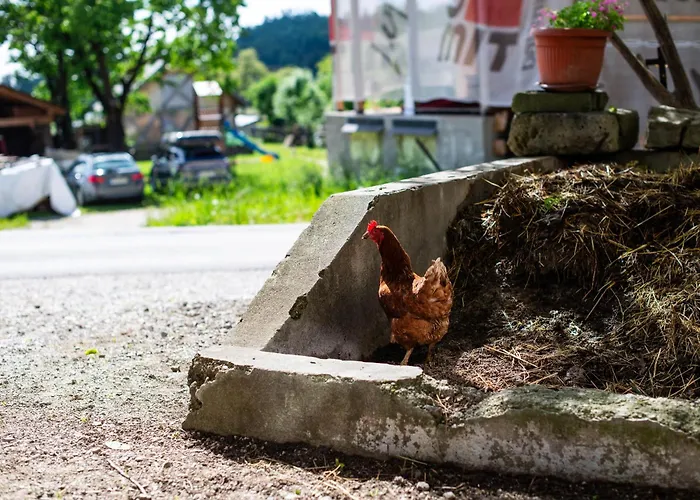 Turisticna Kmetija Grabnar בית חווה *
