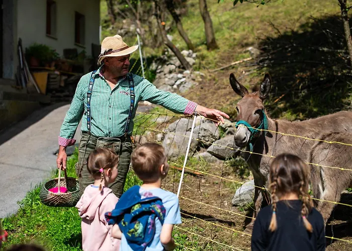 Turisticna Kmetija Grabnar
