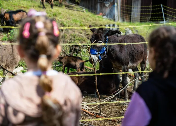 Turisticna Kmetija Grabnar בית חווה *