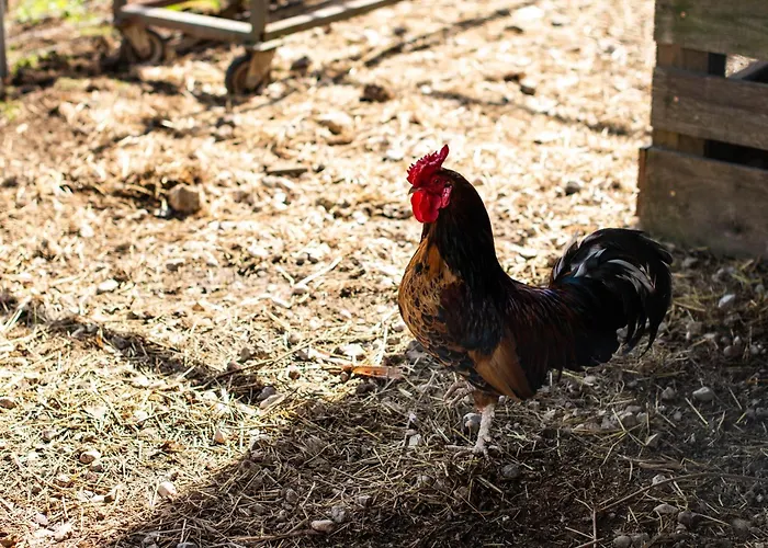 Turisticna Kmetija Grabnar * Блед