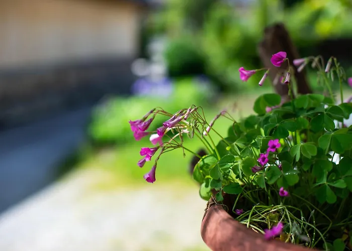 Turisticna Kmetija Grabnar 布莱德