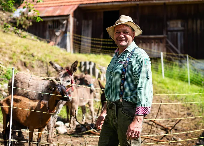 בית חווה Turisticna Kmetija Grabnar
