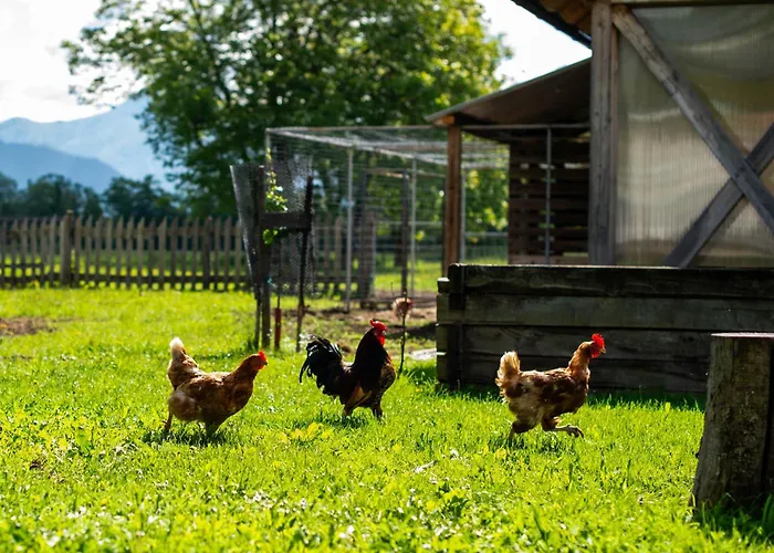 Turisticna Kmetija Grabnar