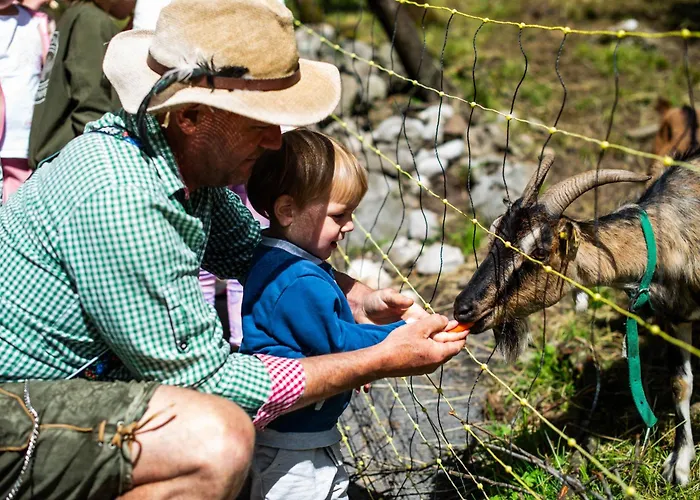 Turisticna Kmetija Grabnar